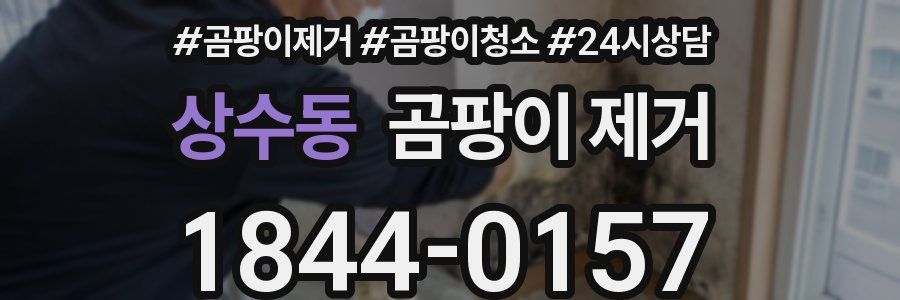 상수동 곰팡이 제거