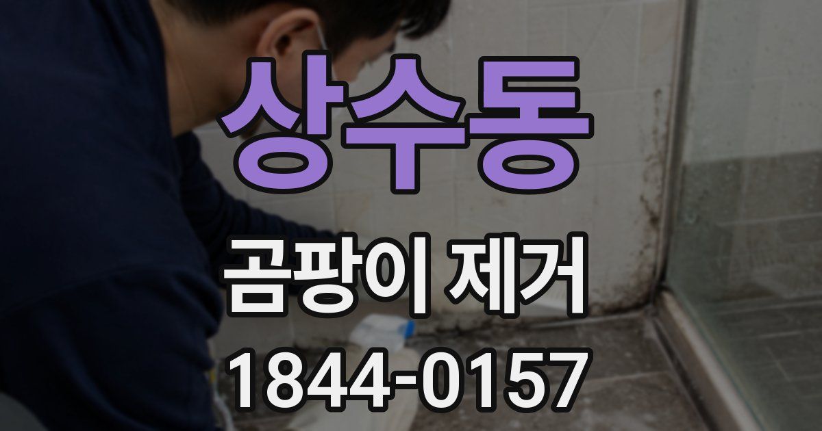 상수동 곰팡이 제거