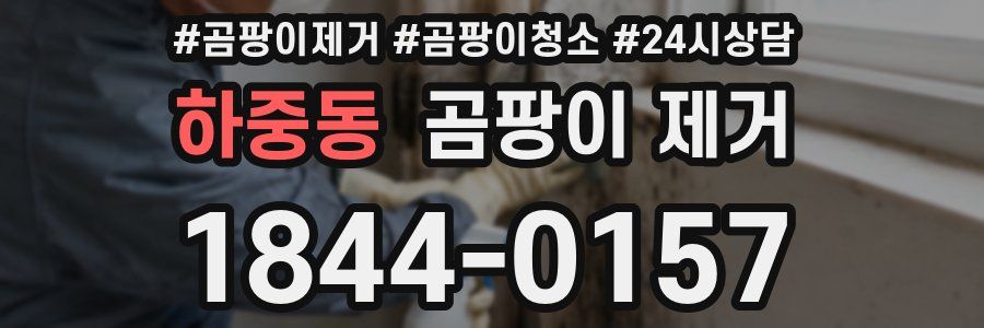하중동 곰팡이 제거