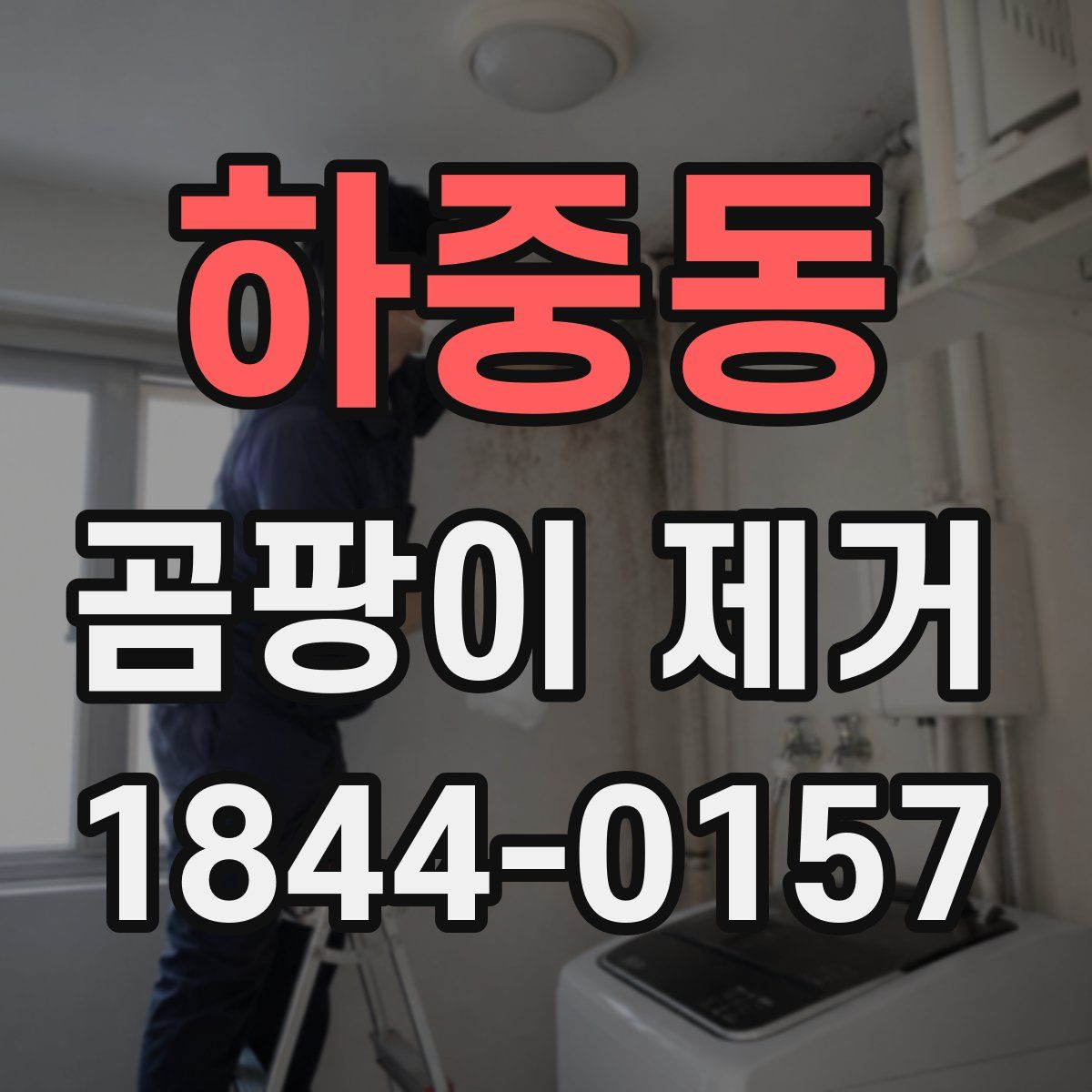 하중동 곰팡이 제거