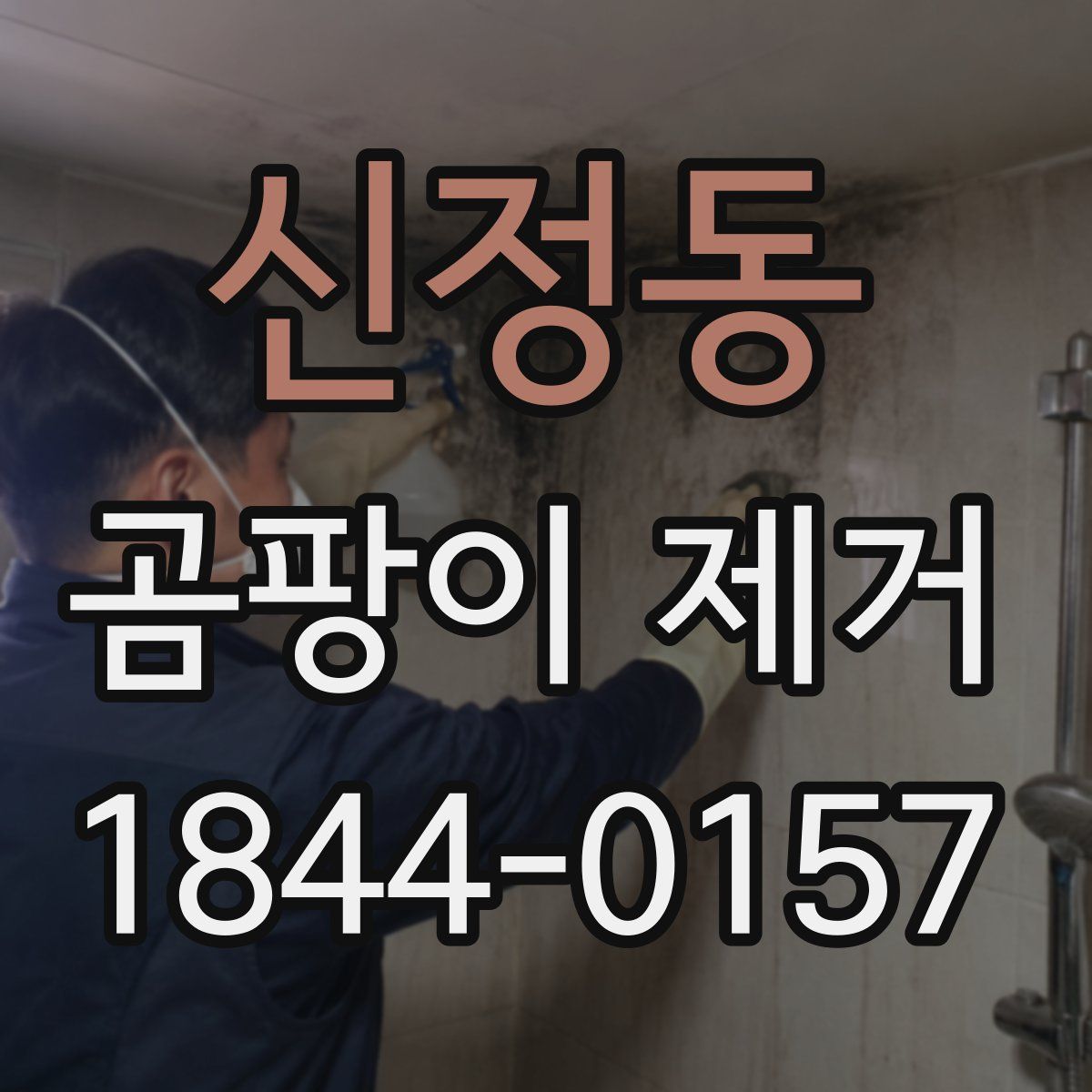 신정동 곰팡이 제거