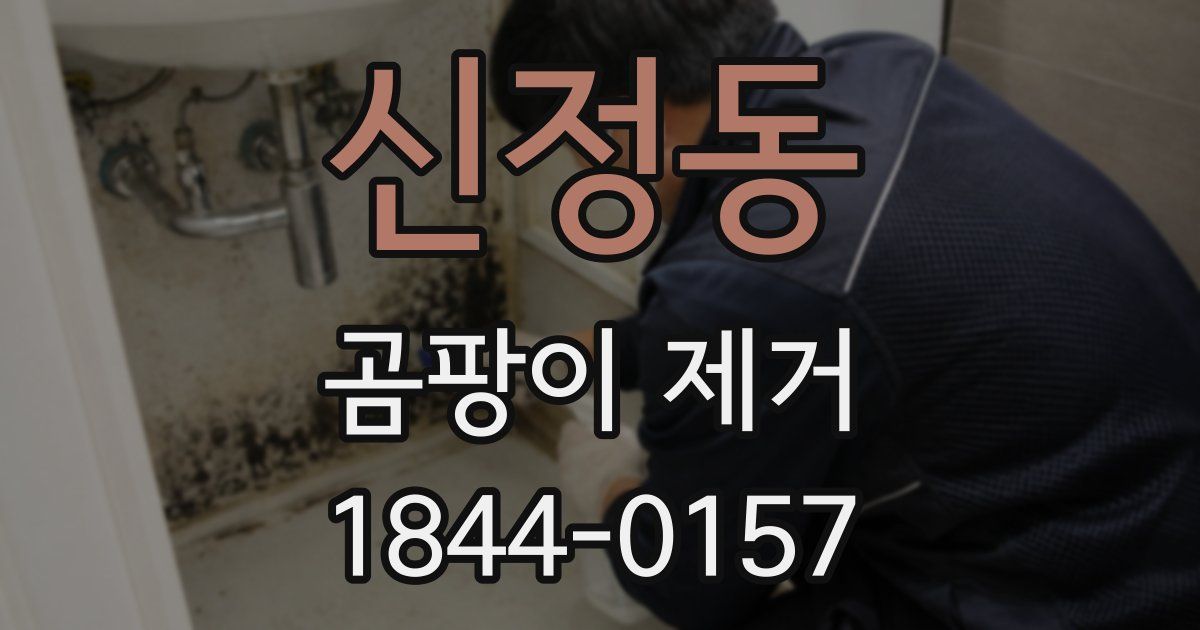 신정동 곰팡이 제거