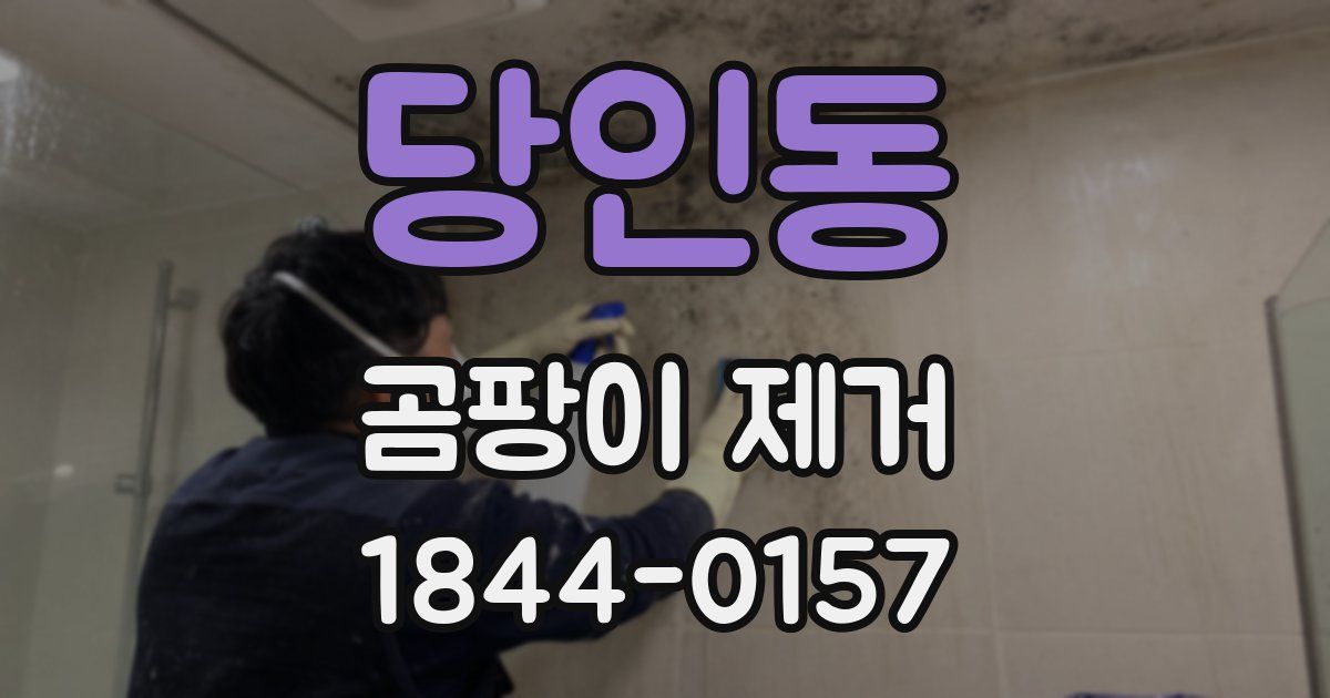 당인동 곰팡이 제거