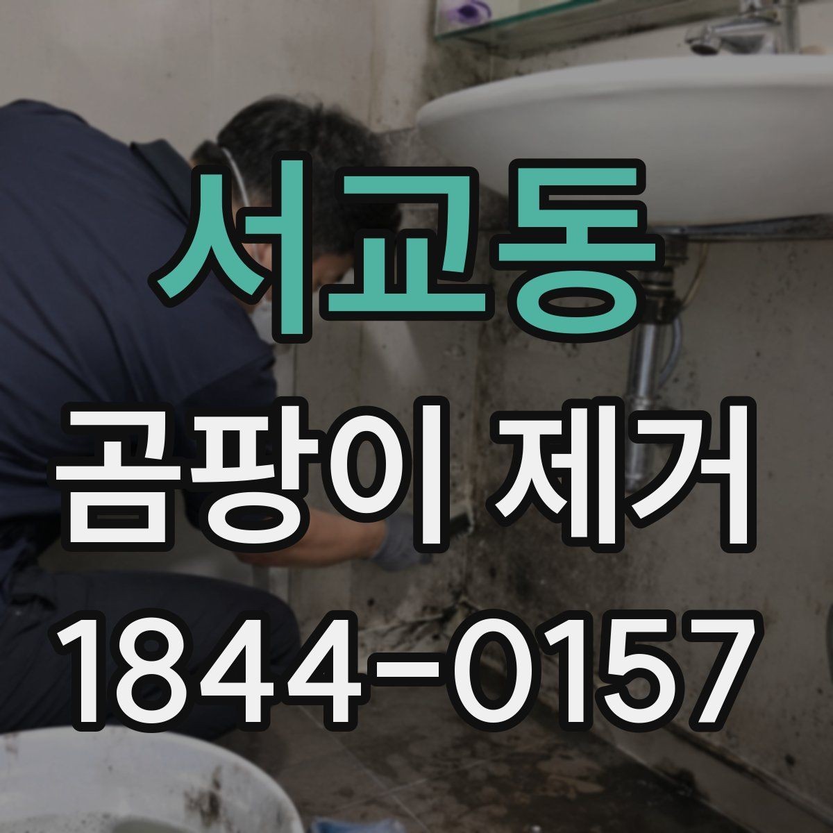 서교동 곰팡이 제거 욕실 환기 후 세척까지 이어지는 과정