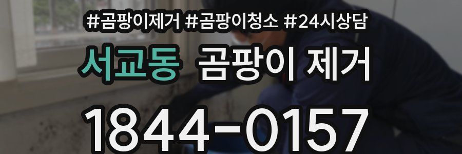 서교동 곰팡이 제거