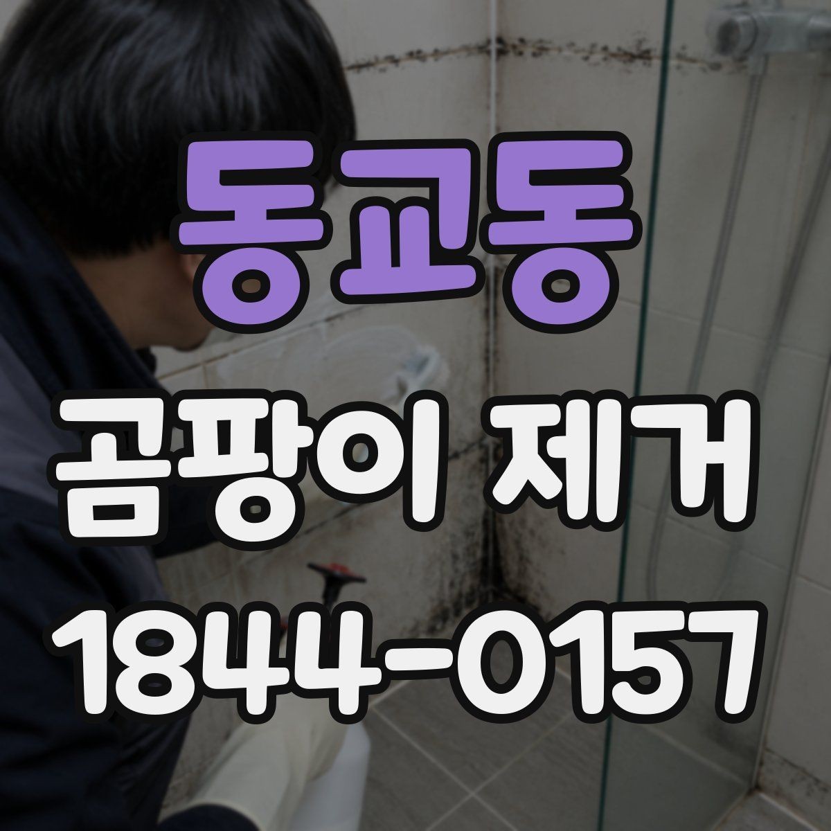동교동 곰팡이 제거 천장 얼룩이 넓어지기 전 확인할 것