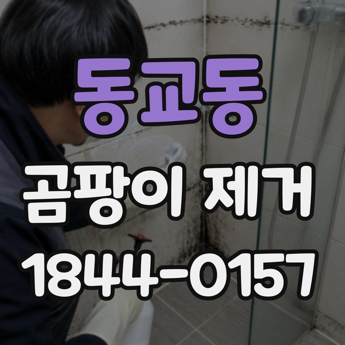 동교동 곰팡이 제거