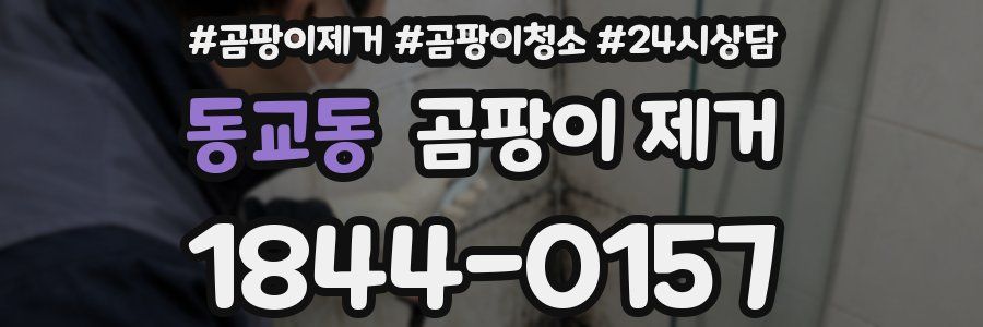 동교동 곰팡이 제거