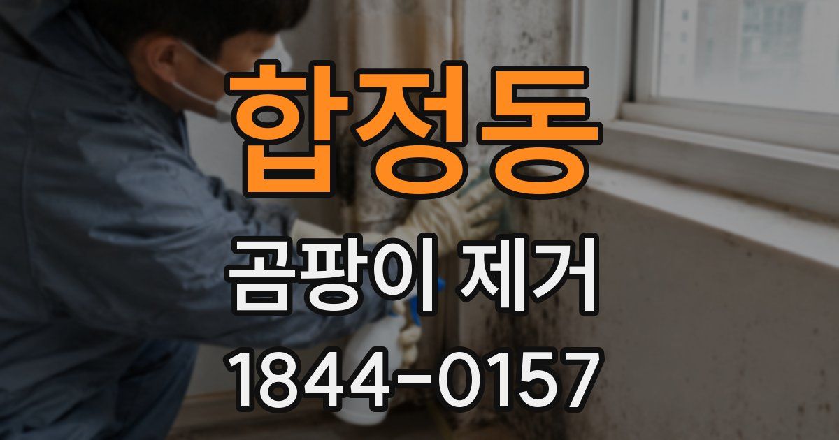 합정동 곰팡이 제거
