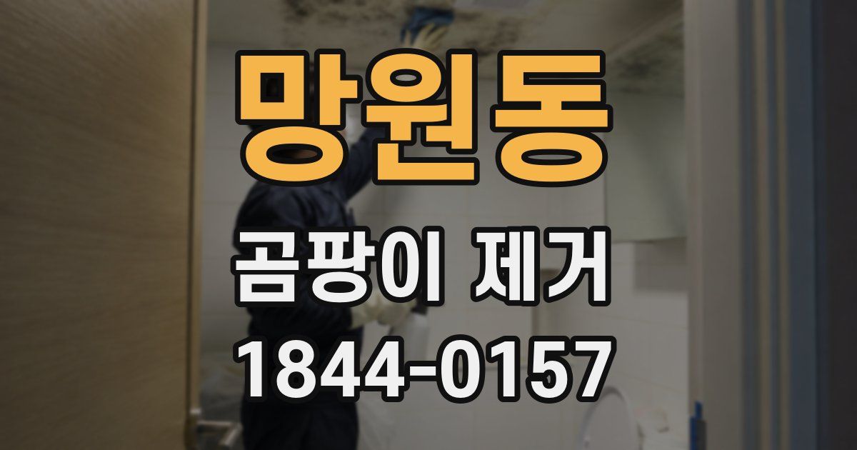 망원동 곰팡이 제거