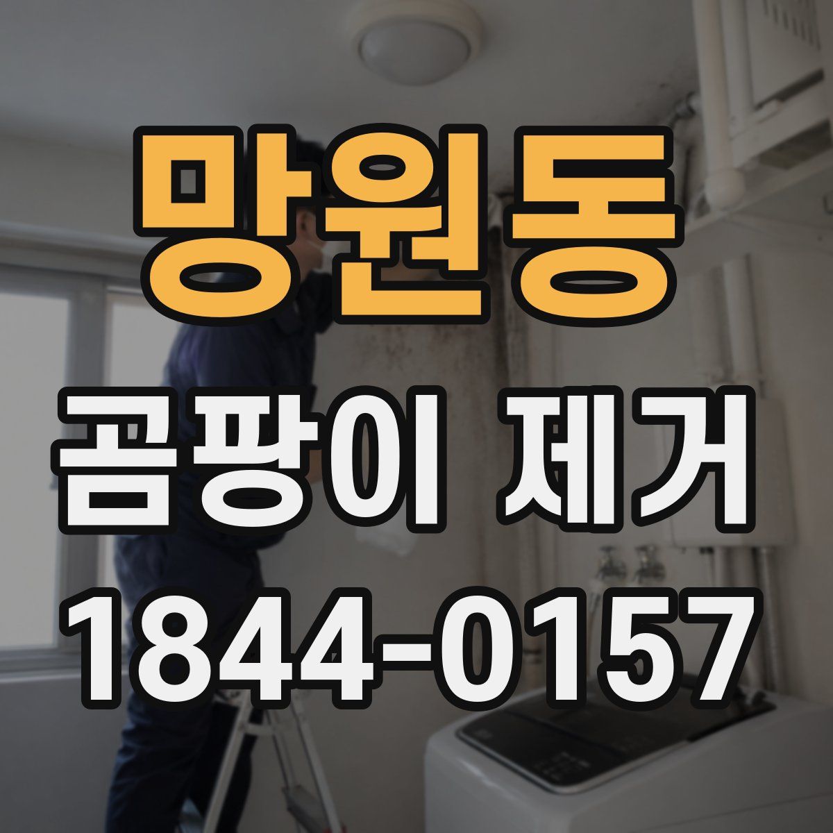 망원동 곰팡이 제거