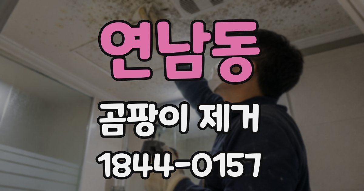 연남동 곰팡이 제거