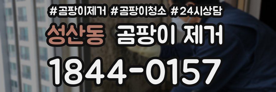 성산동 곰팡이 제거