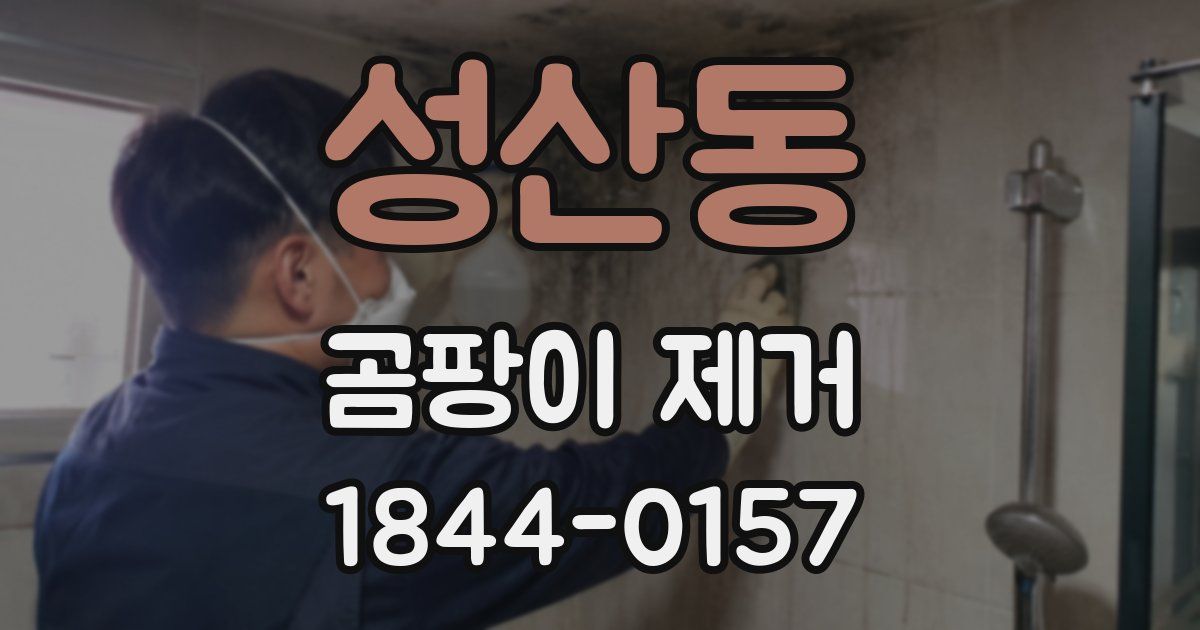 성산동 곰팡이 제거