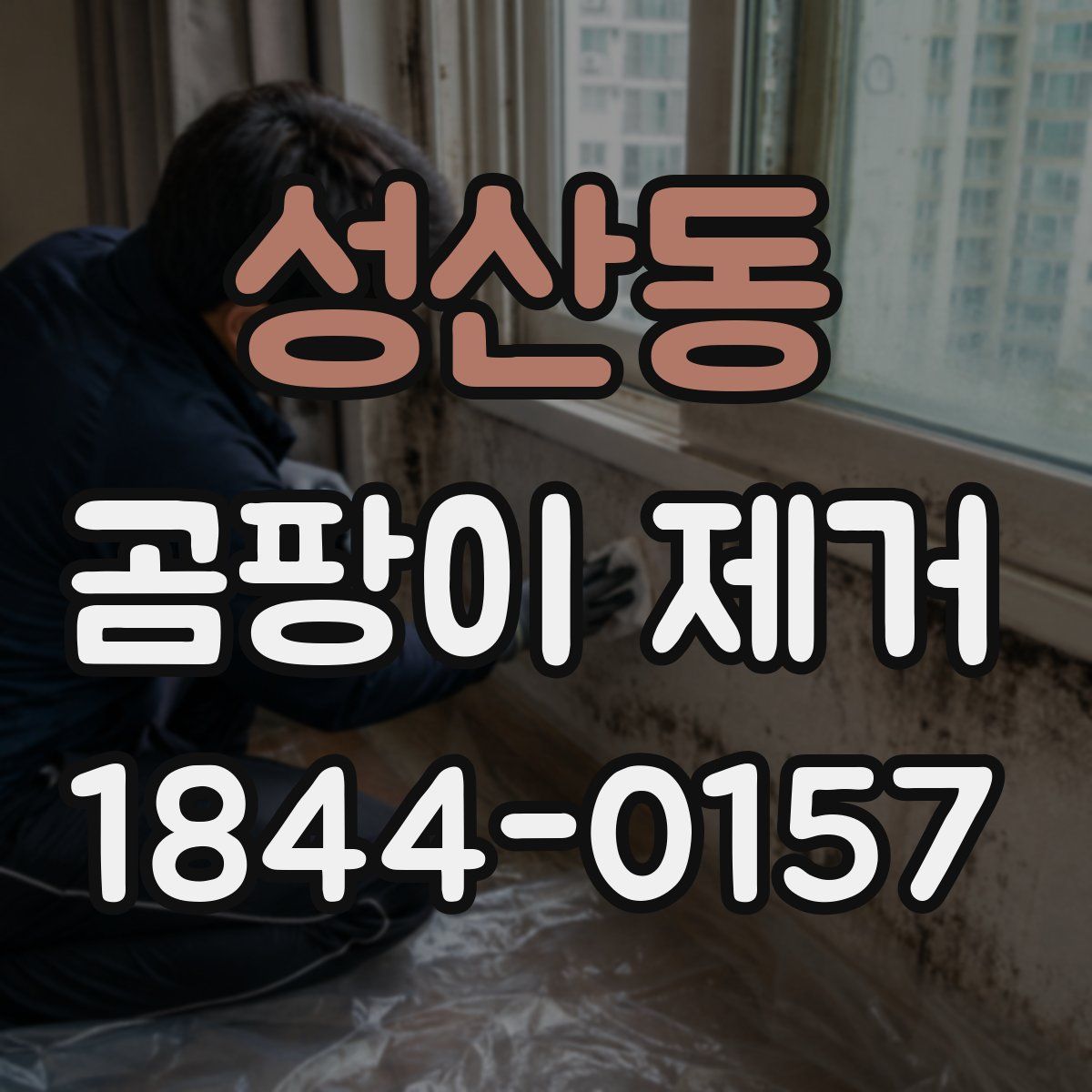 성산동 곰팡이 제거