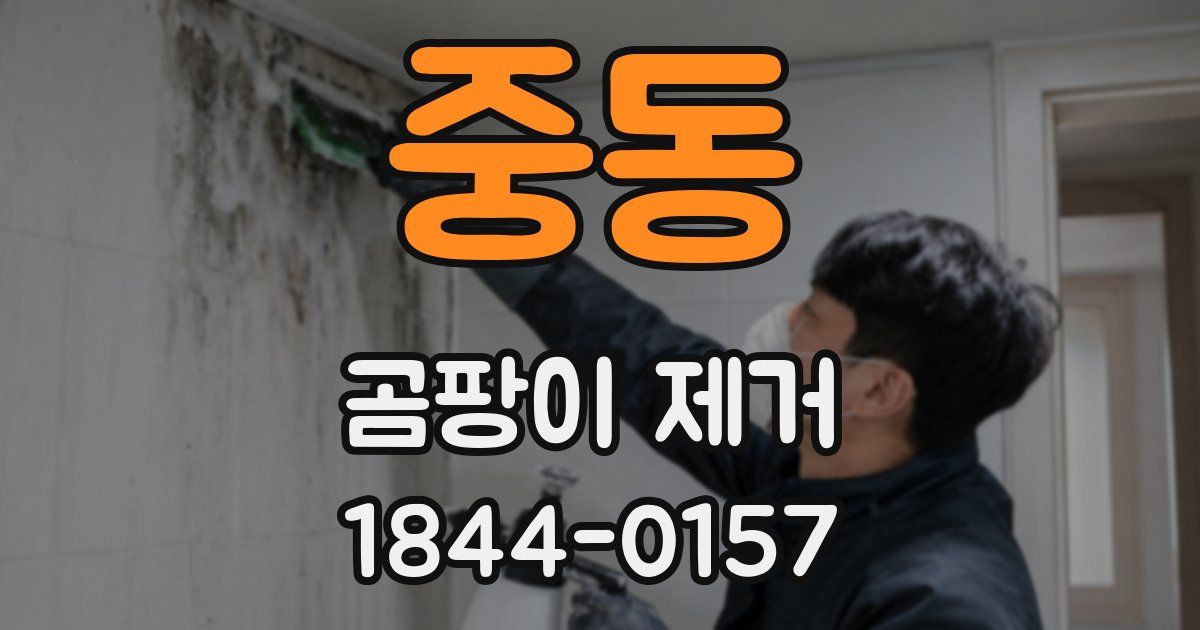 중동 곰팡이 제거