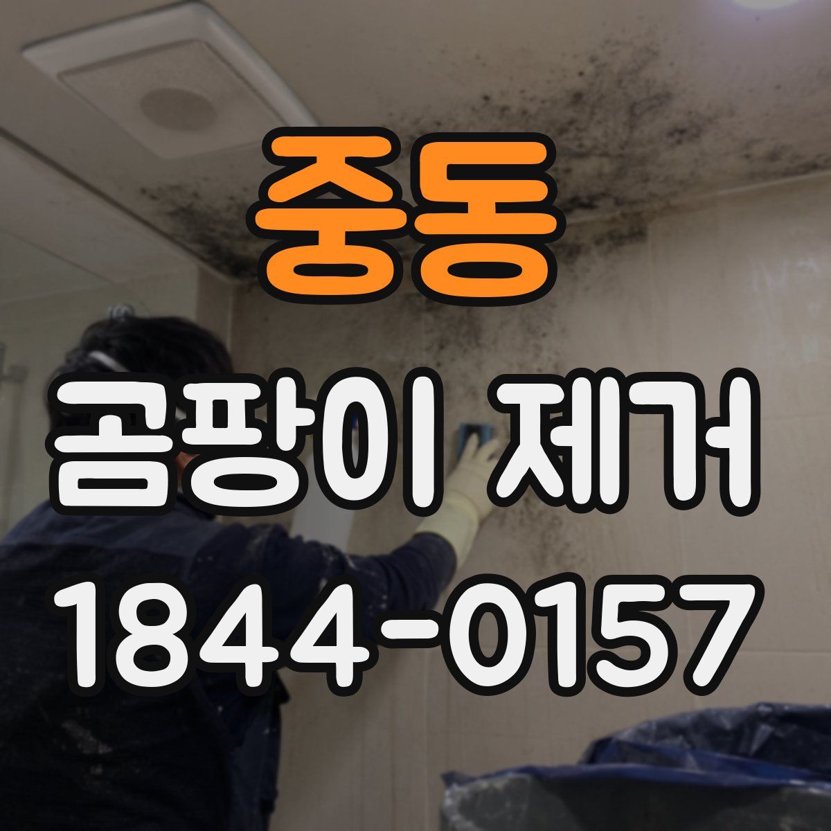 중동 곰팡이 제거