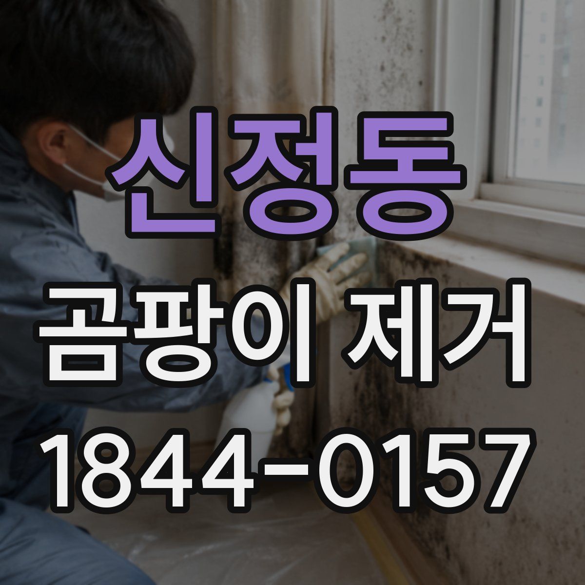신정동 곰팡이 제거