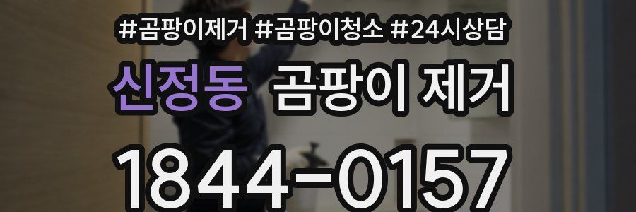 신정동 곰팡이 제거