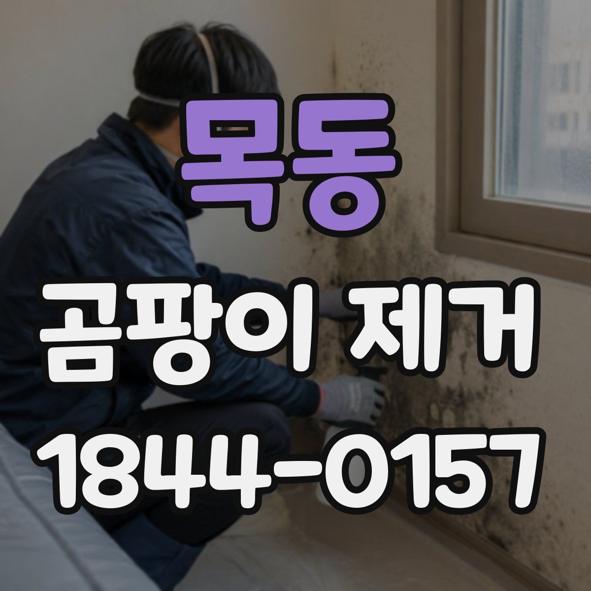 목동 곰팡이 제거