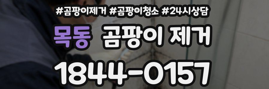 목동 곰팡이 제거
