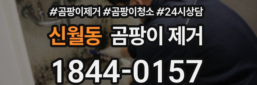 신월동 곰팡이 제거