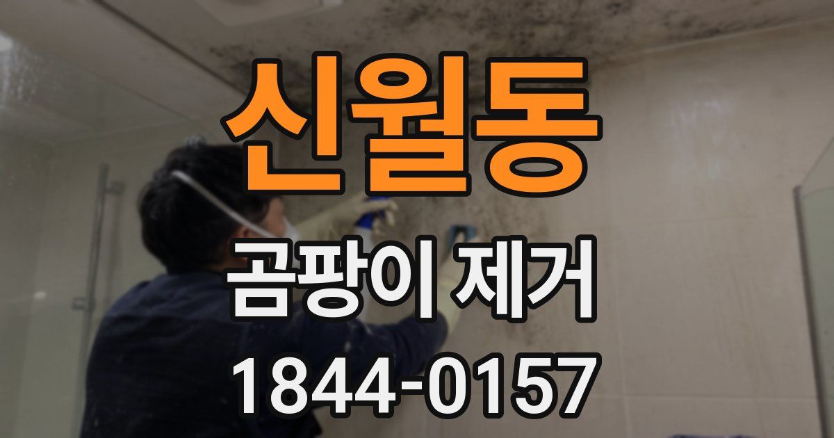 신월동 곰팡이 제거