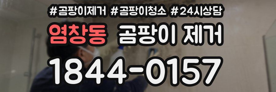 염창동 곰팡이 제거