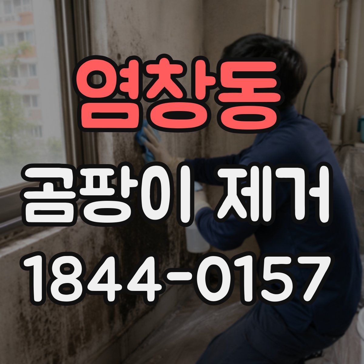 염창동 곰팡이 제거