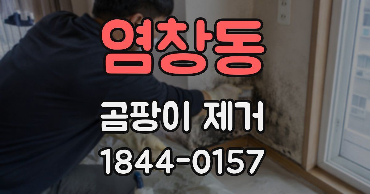 염창동 곰팡이 제거