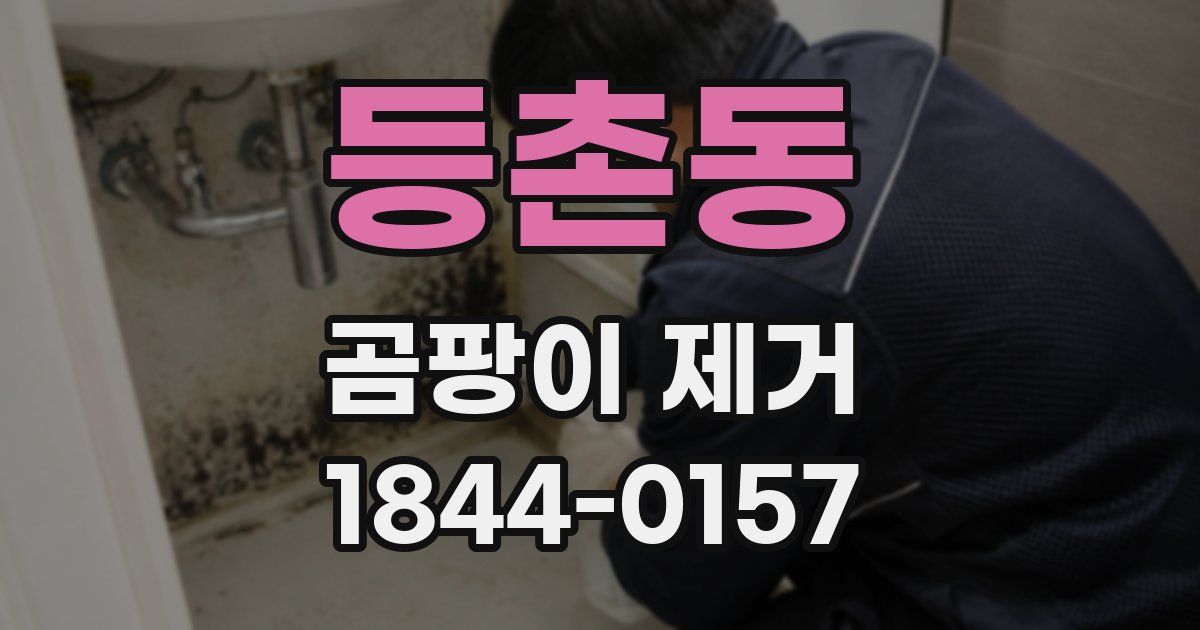 등촌동 곰팡이 제거