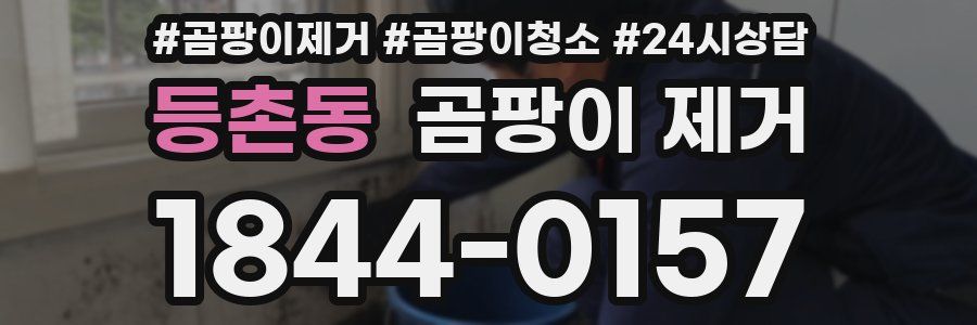 등촌동 곰팡이 제거