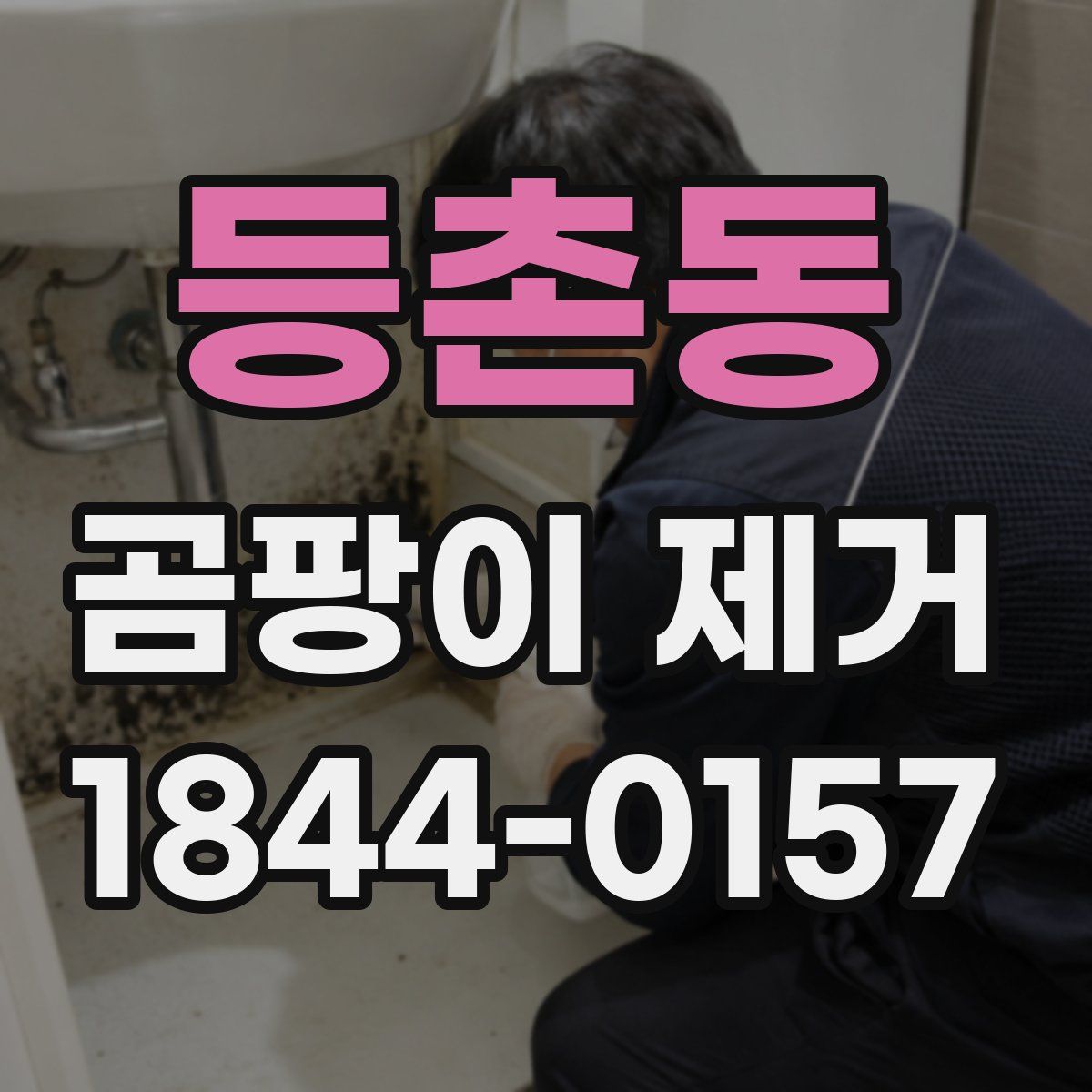 등촌동 곰팡이 제거