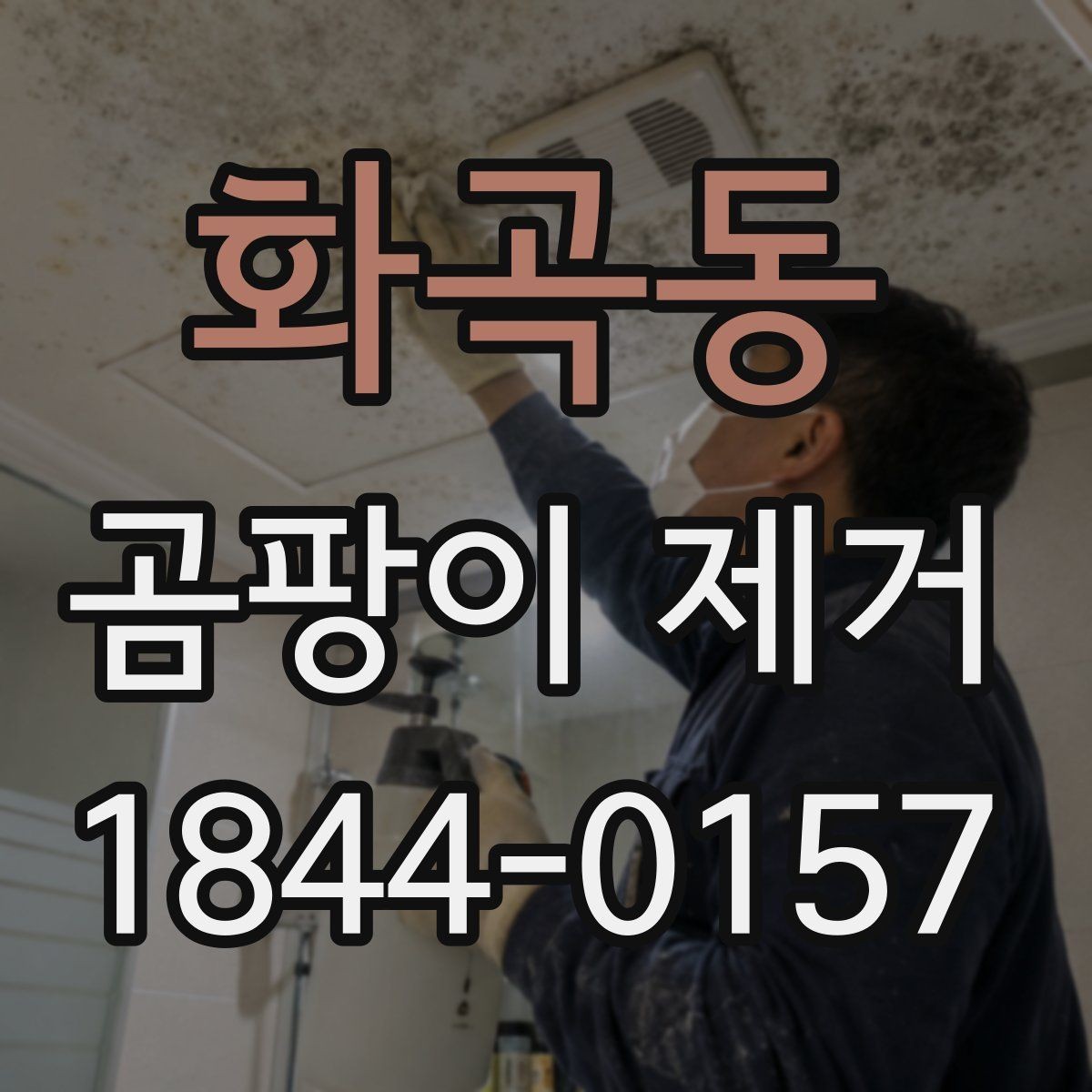 화곡동 곰팡이 제거 장마철 실내 습도 관리와 재발 방지