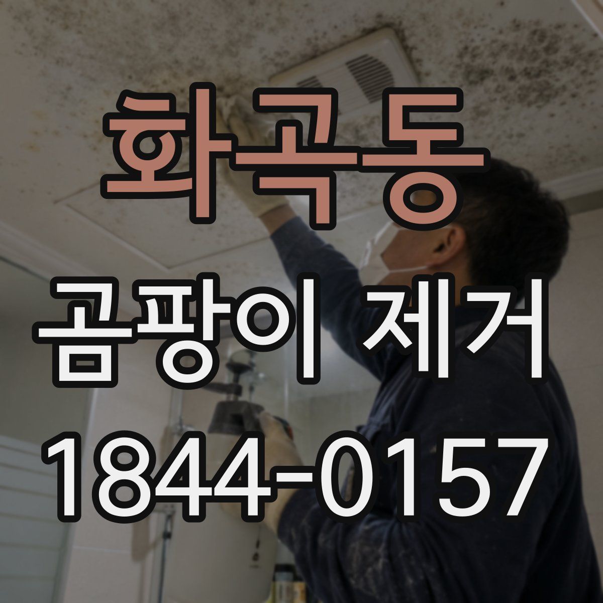 화곡동 곰팡이 제거