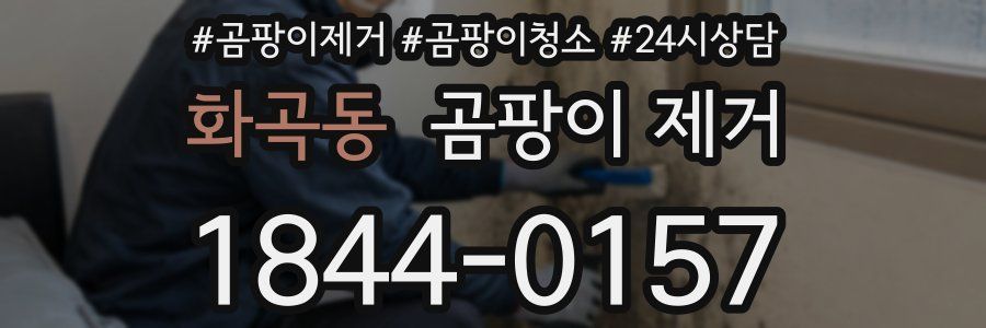 화곡동 곰팡이 제거