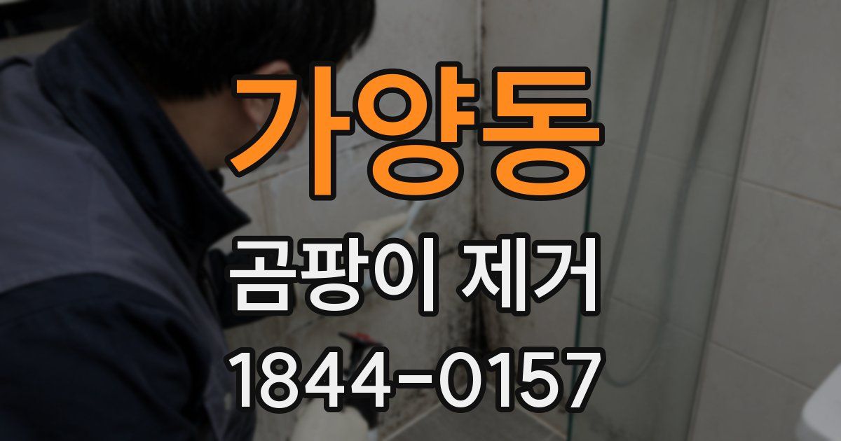 가양동 곰팡이 제거