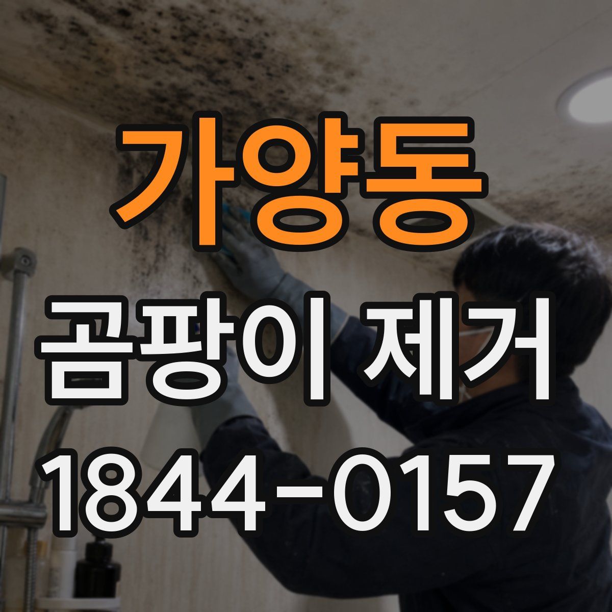 가양동 곰팡이 제거