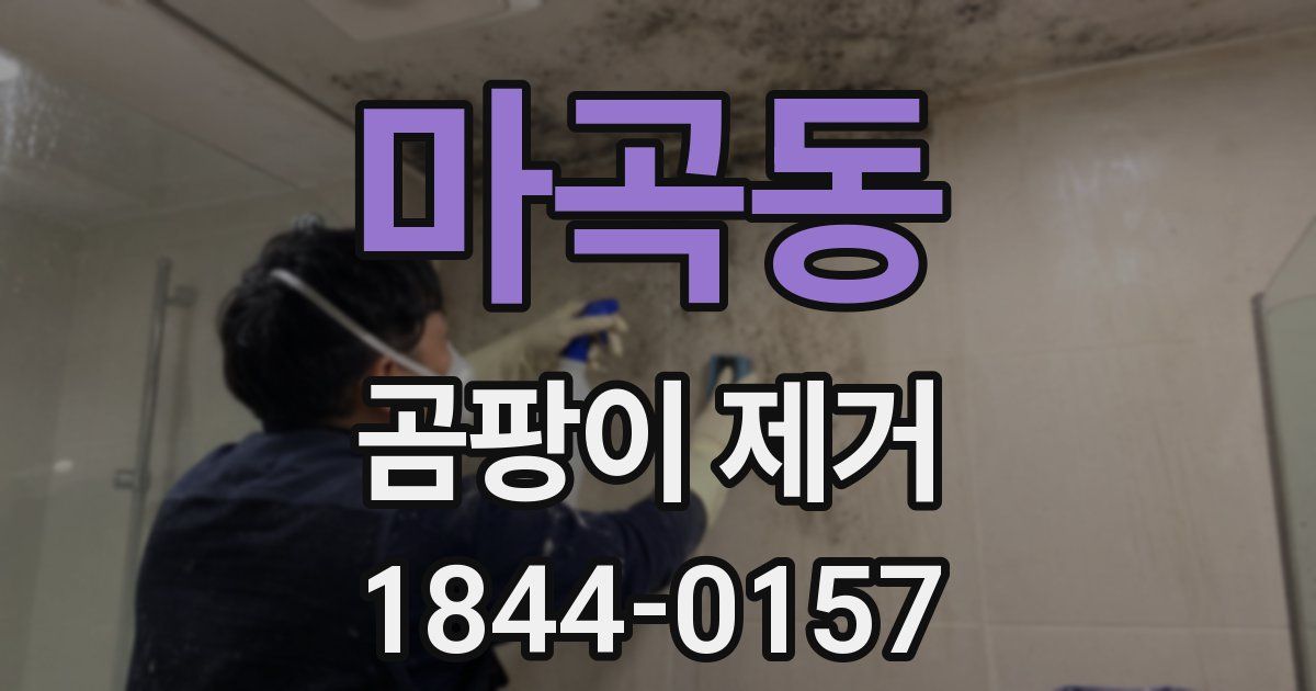 마곡동 곰팡이 제거