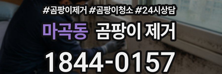 마곡동 곰팡이 제거