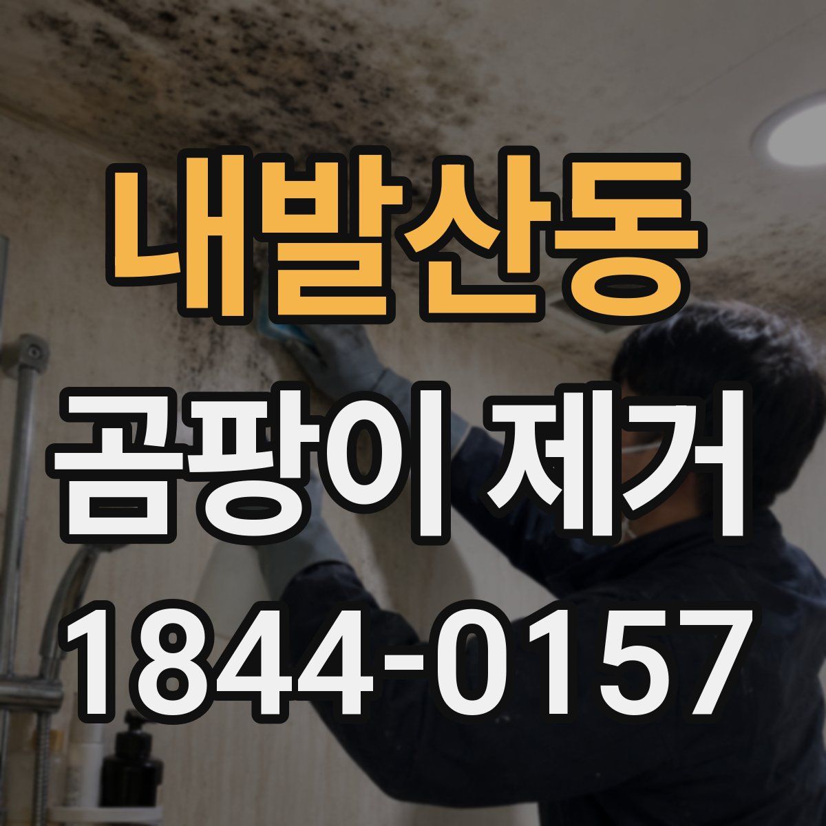 내발산동 곰팡이 제거