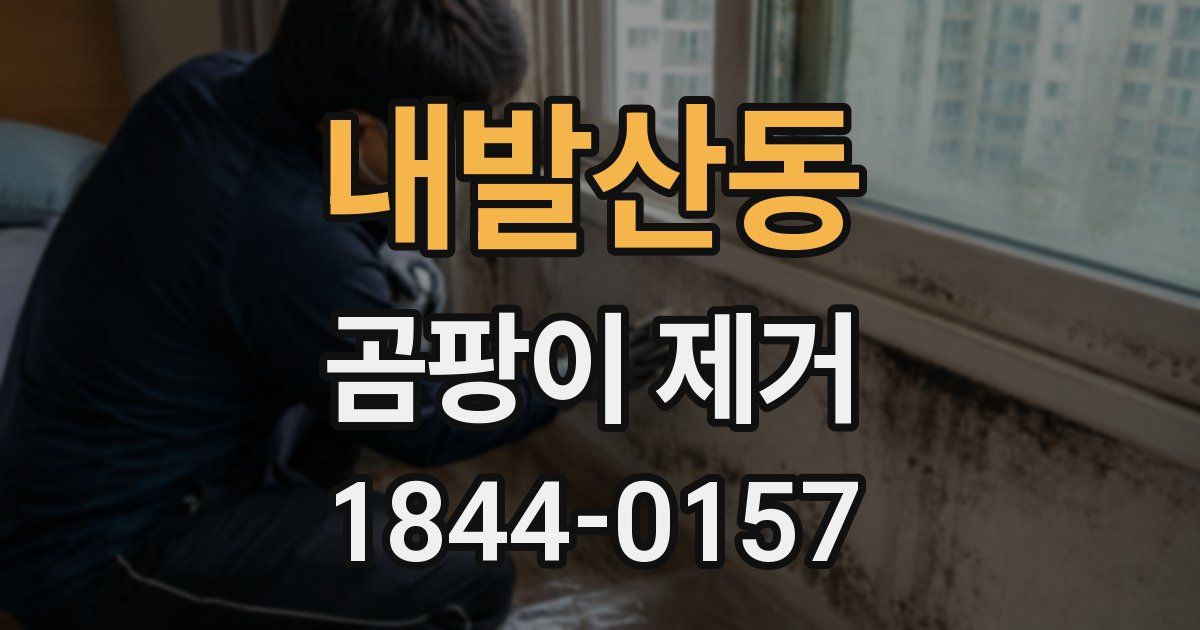 내발산동 곰팡이 제거