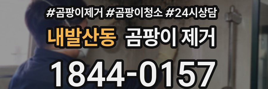 내발산동 곰팡이 제거