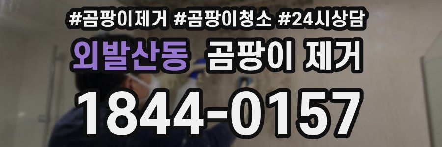 외발산동 곰팡이 제거