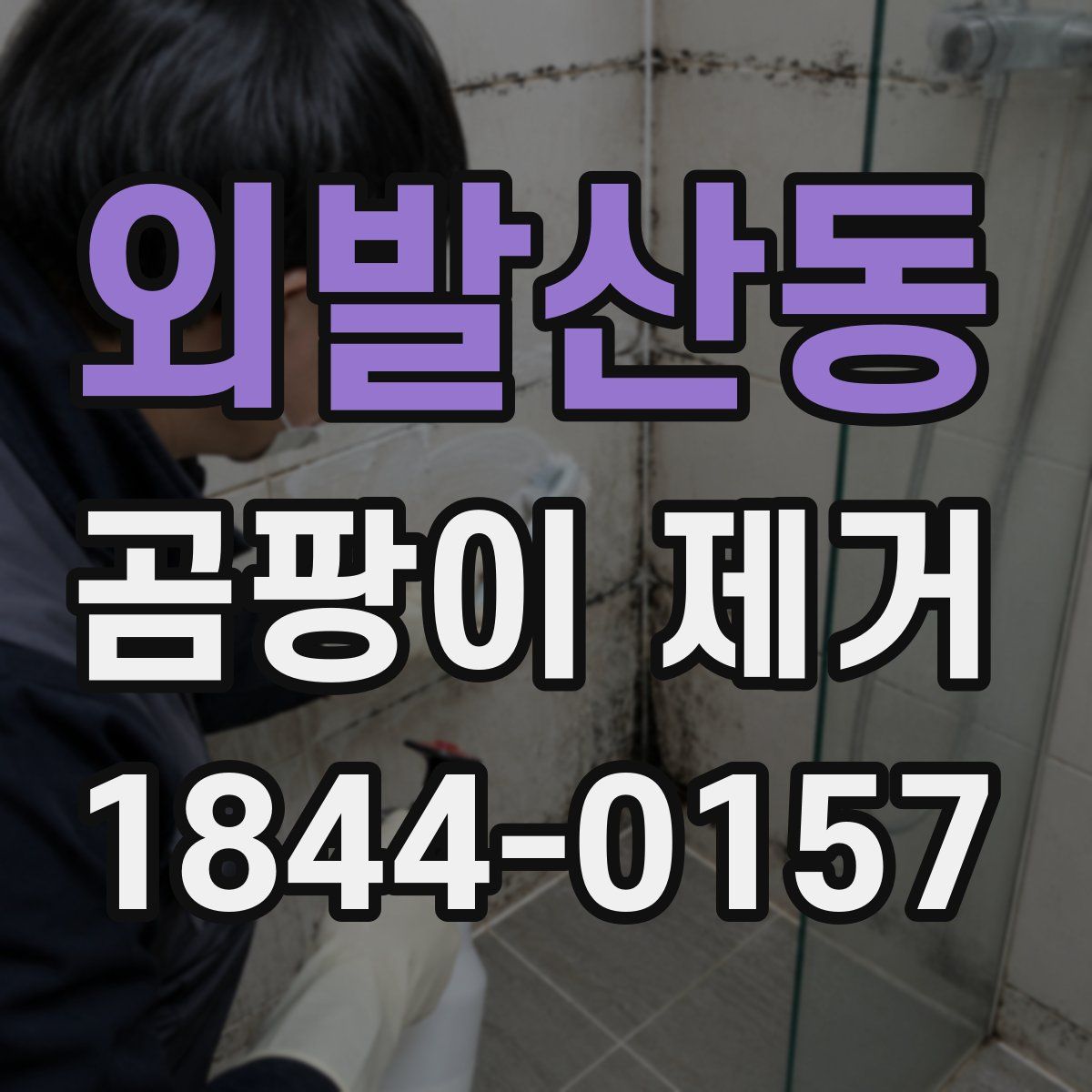 외발산동 곰팡이 제거