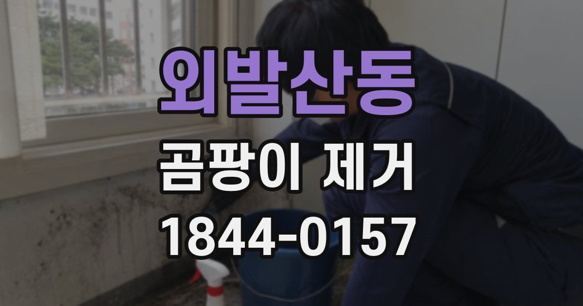 외발산동 곰팡이 제거