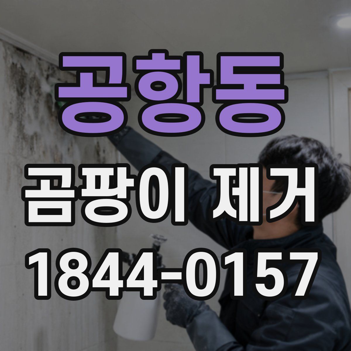 공항동 곰팡이 제거