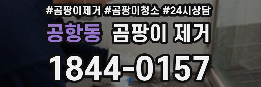 공항동 곰팡이 제거