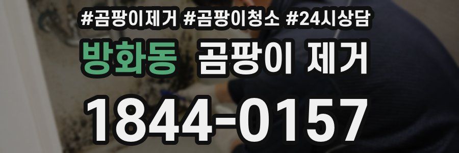방화동 곰팡이 제거