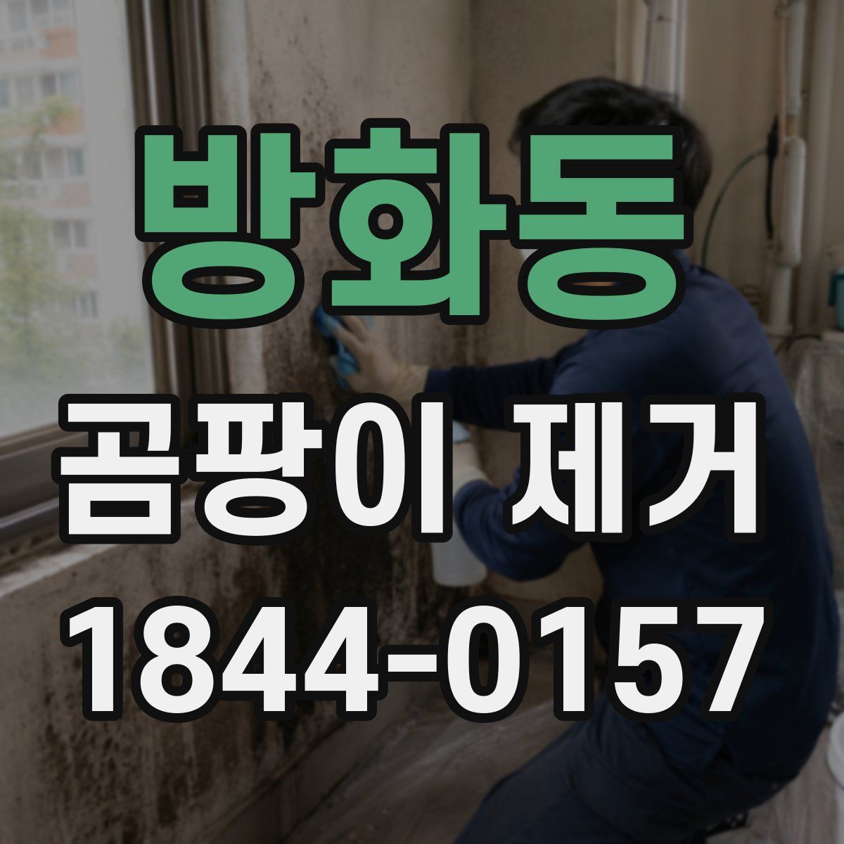 방화동 곰팡이 제거